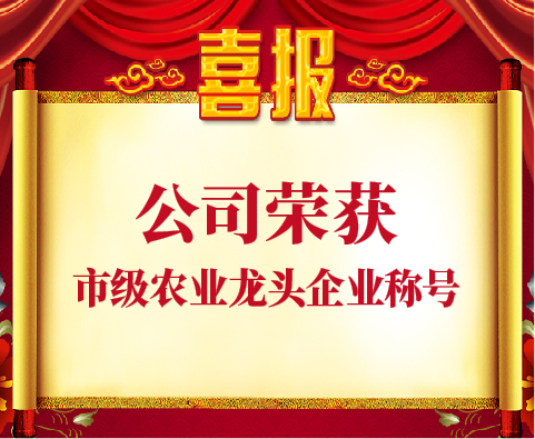 【喜報】熱烈祝賀合家興榮獲“廣州市級農(nóng)業(yè)龍頭企業(yè)”稱號